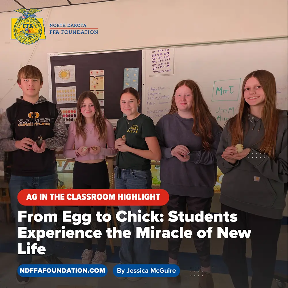 Students Explore Poultry Incubation and Hatching