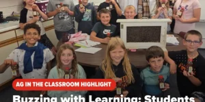Students Explore the World of Honeybees